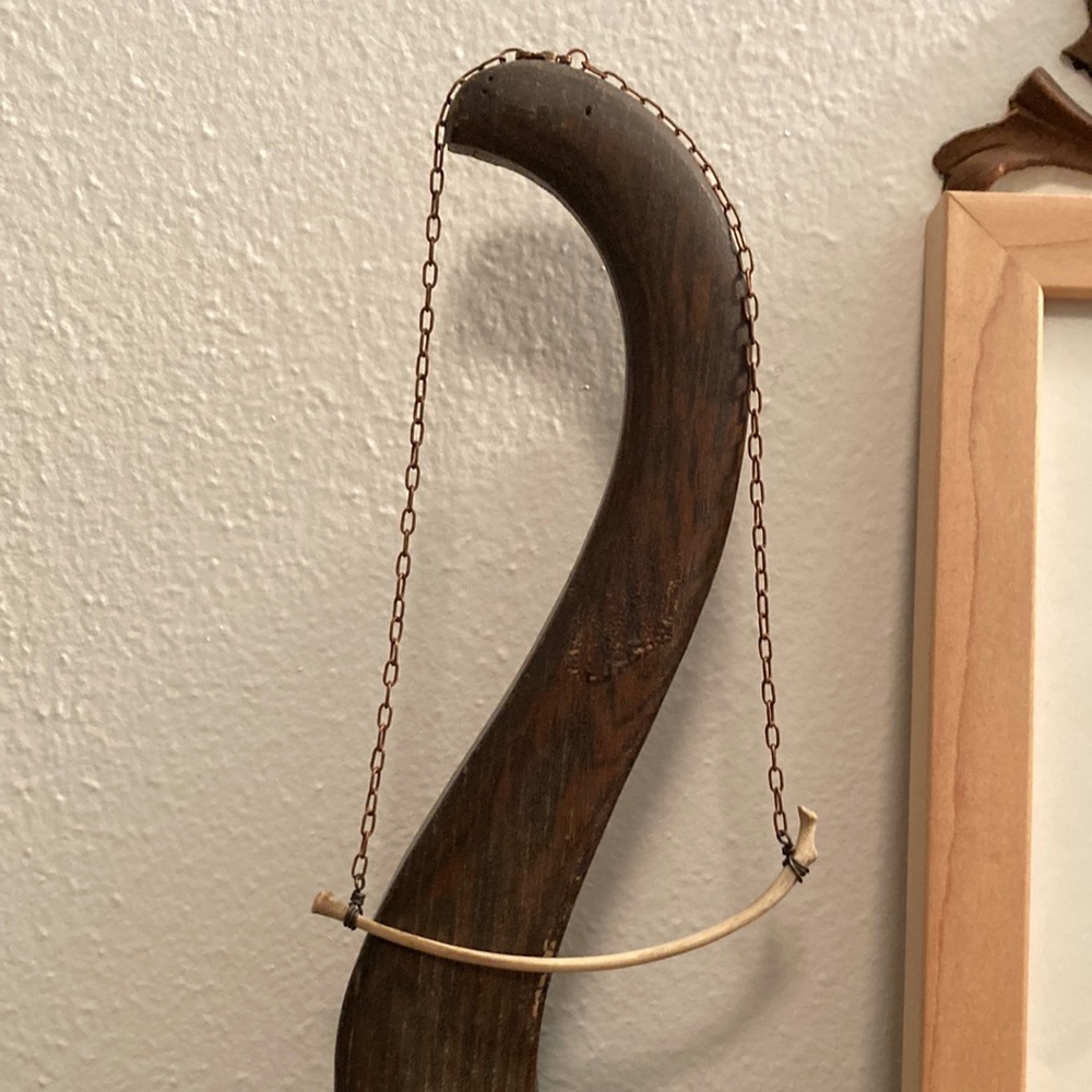 Raccoon Rib Bone Necklace